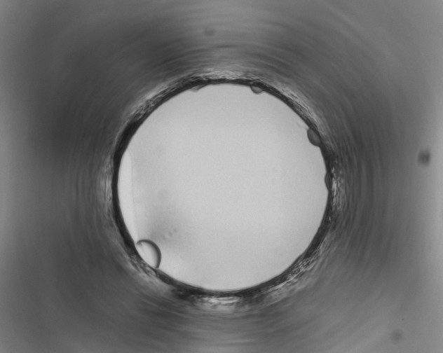 X0000116840446201001151250
