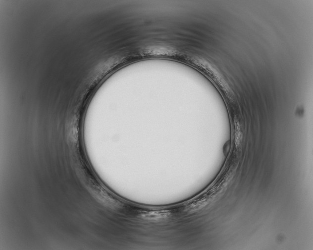 X0000116840447201001151250