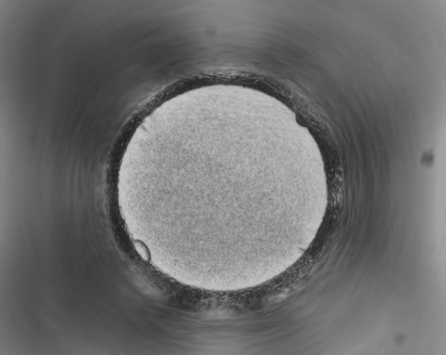 X0000116840448201001151250