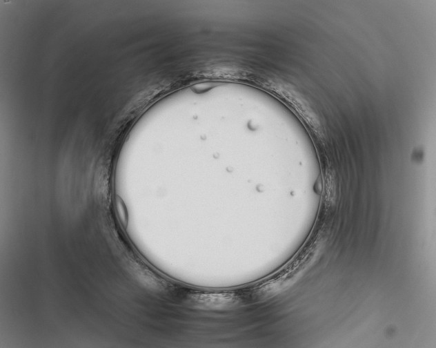 X0000116840449201001151250
