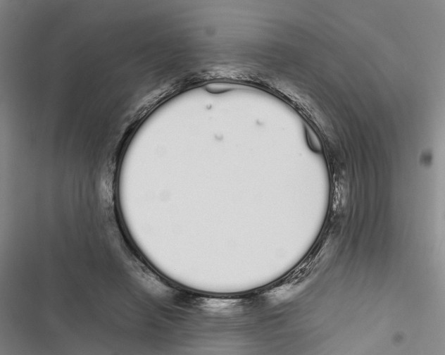 X0000116840450201001151250