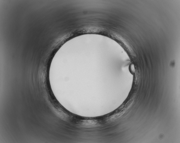 X0000116840451201001151250