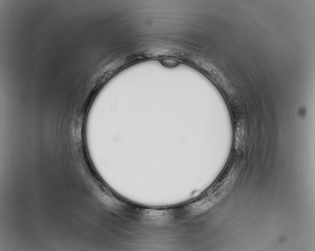 X0000116840454201001151251