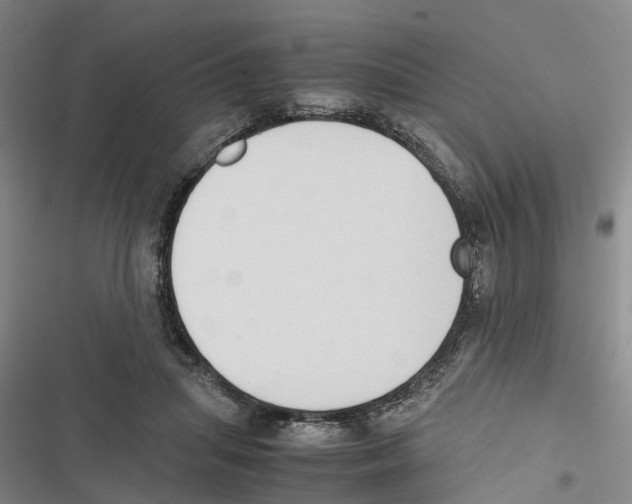 X0000116840455201001151251