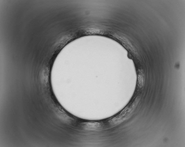 X0000116840458201001151251