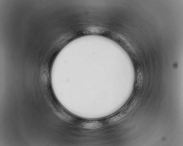 X0000116840459201001151251
