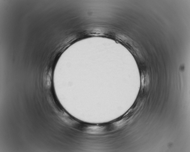 X0000116840460201001151251