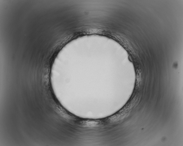 X0000116840462201001151251