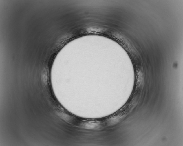 X0000116840463201001151251