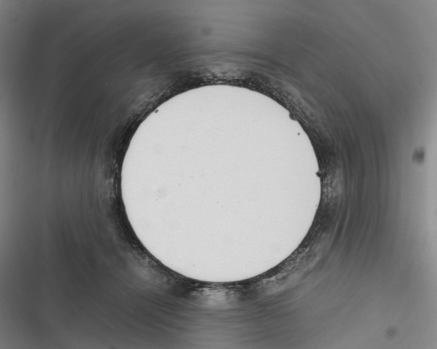 X0000116840464201001151251
