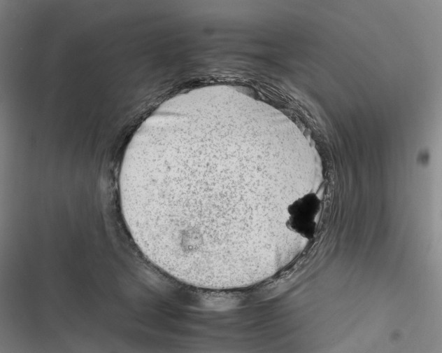X0000116840465201001151251