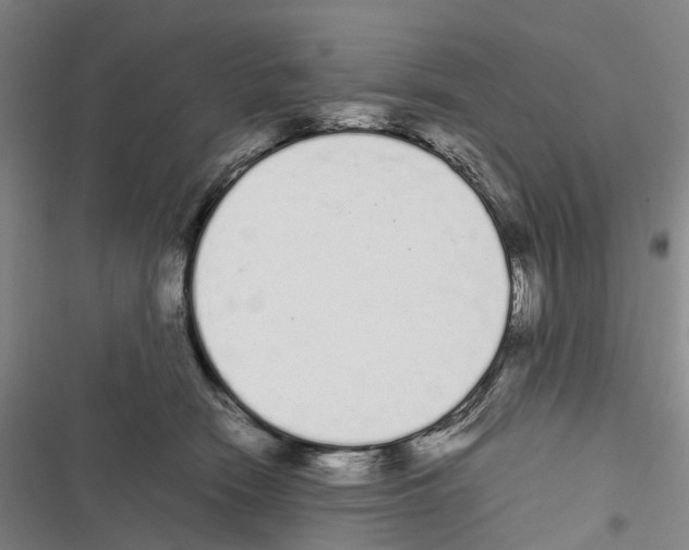 X0000116840466201001151251