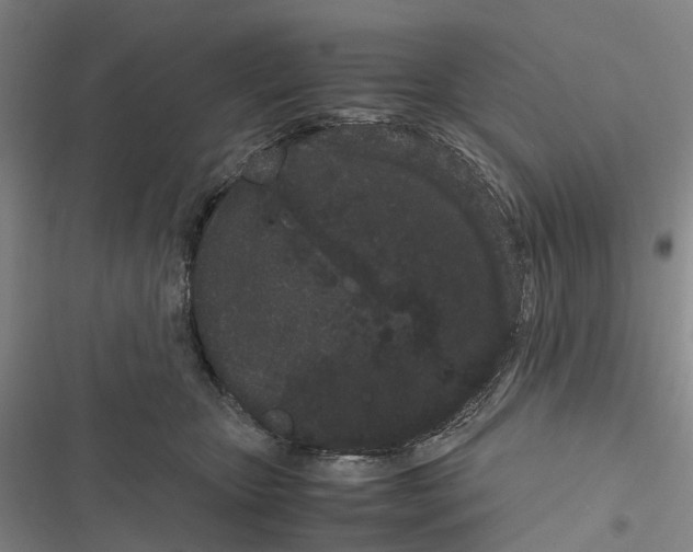 X0000116840467201001151251
