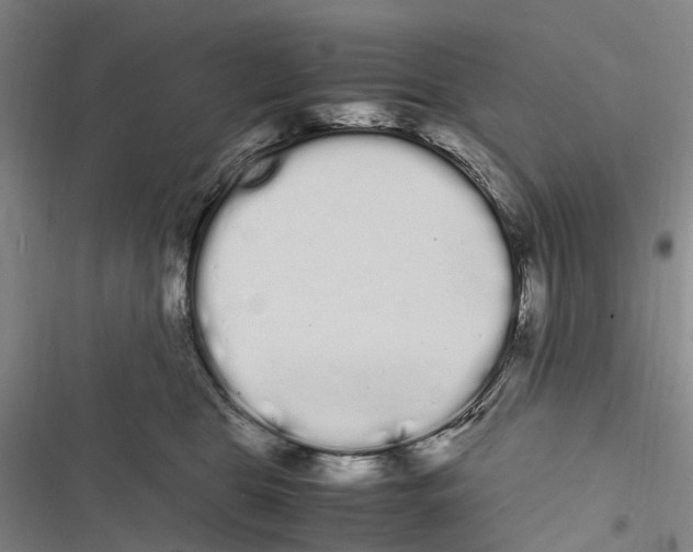 X0000116840469201001151251