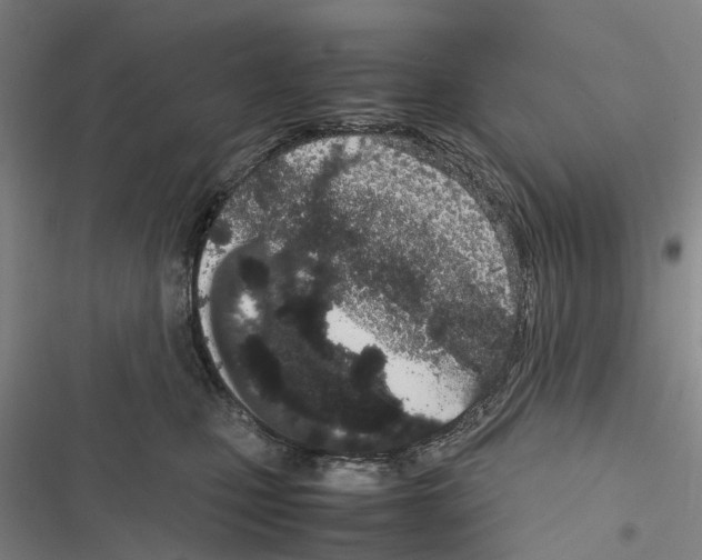 X0000116840471201001151251