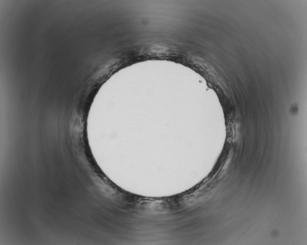 X0000116840472201001151251