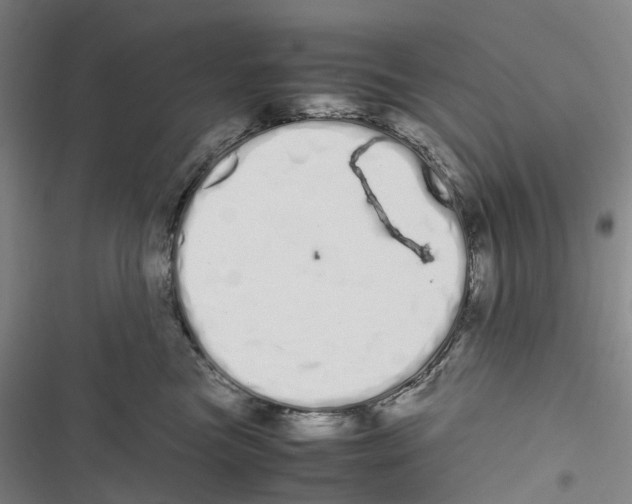 X0000116840473201001151251