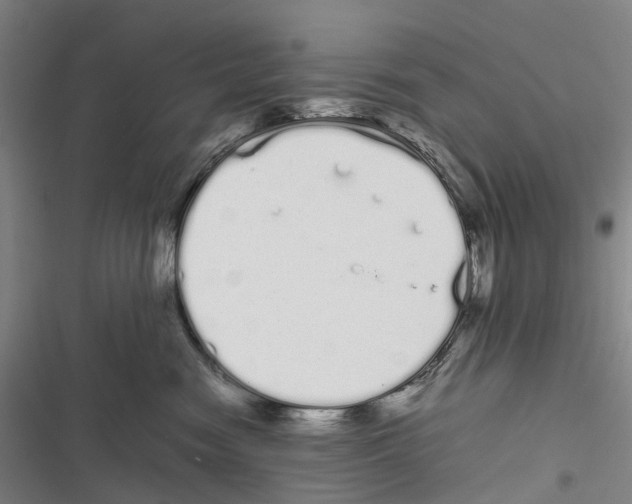 X0000116840474201001151251