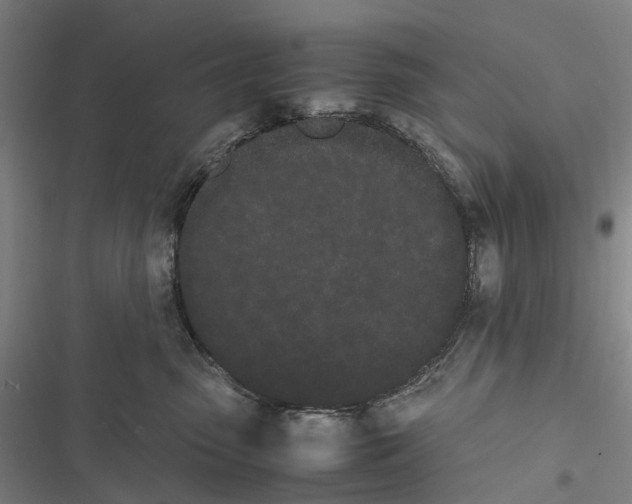 X0000116840475201001151251