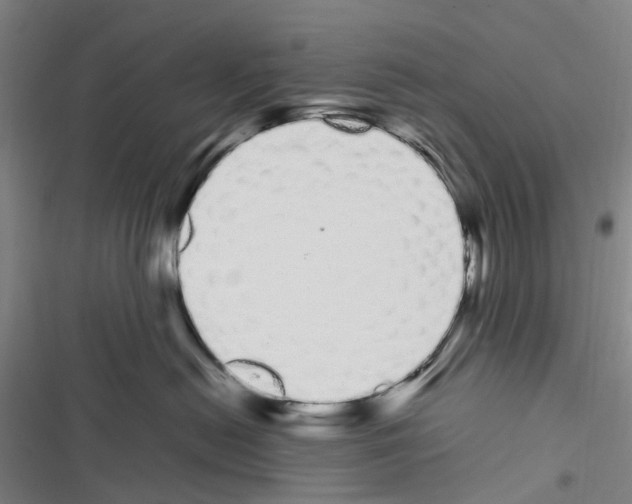 X0000116840478201001151251