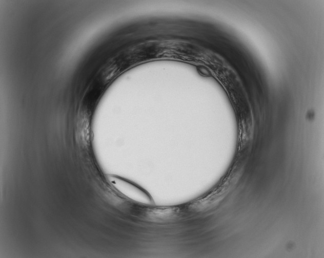 X0000116840479201001151251