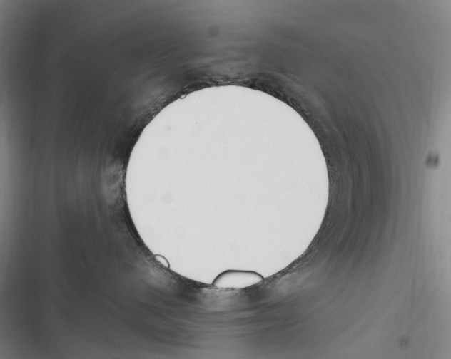 X0000116840480201001151251