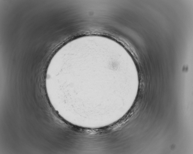 X0000116840481201001151250