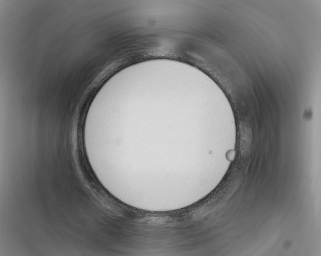 X0000116840482201001151250