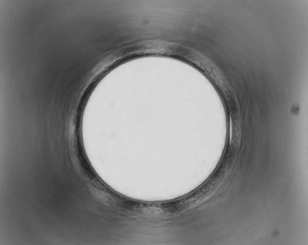 X0000116840483201001151250