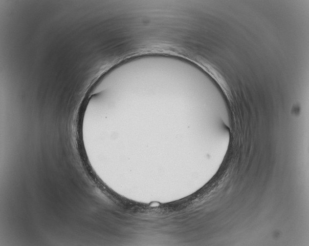 X0000116840485201001151250