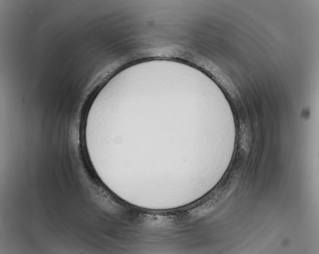 X0000116840486201001151250