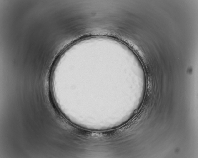 X0000116840487201001151250