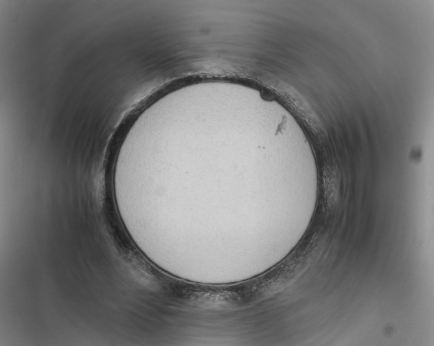 X0000116840488201001151250