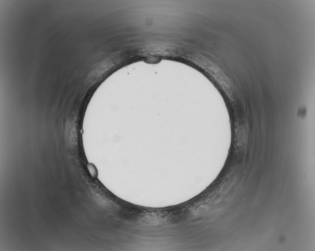 X0000116840489201001151250
