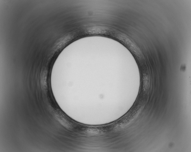 X0000116840490201001151250