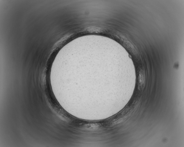 X0000116840492201001151250