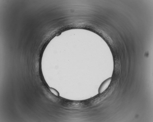 X0000116840493201001151250