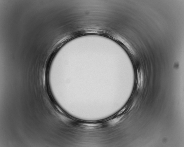 X0000116840494201001151250