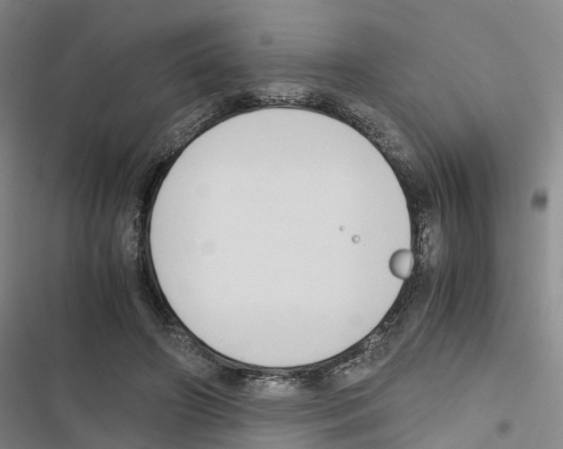 X0000116840498201001151250