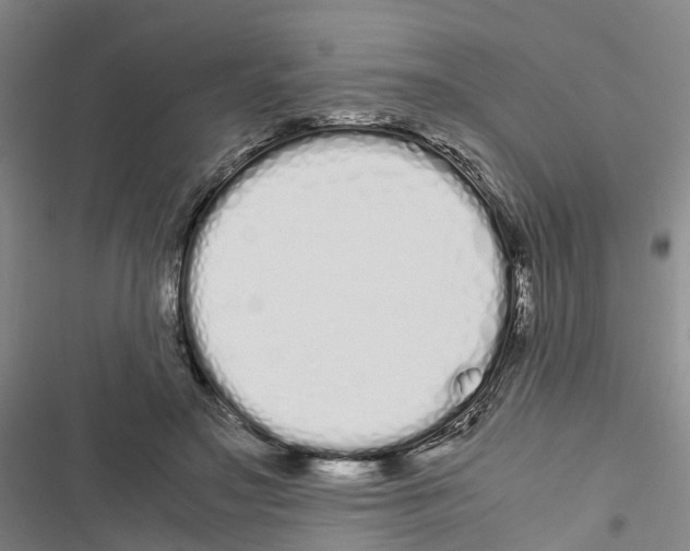 X0000116840499201001151250