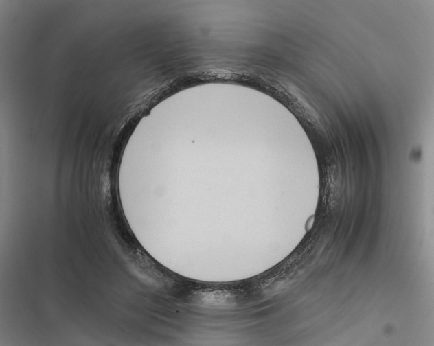 X0000116840500201001151250