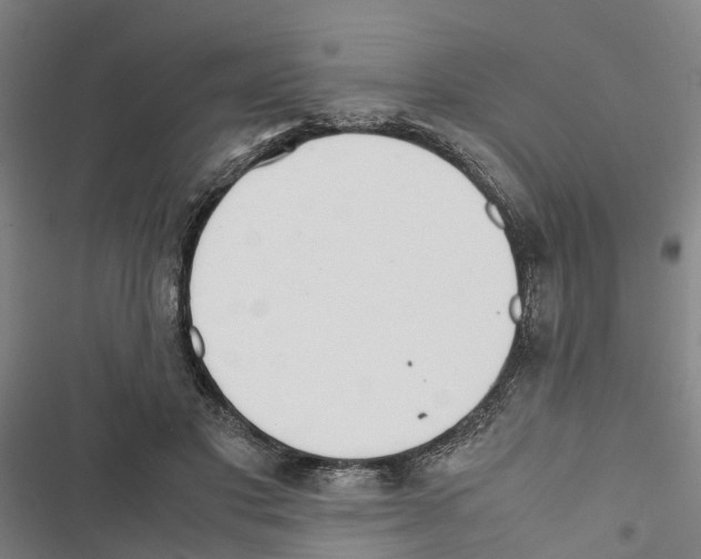 X0000116840501201001151250