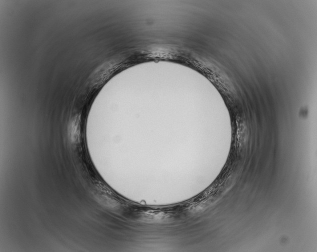 X0000116840502201001151250