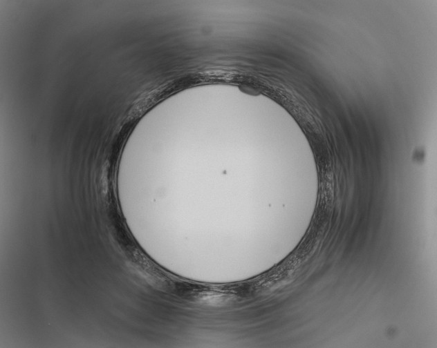 X0000116840504201001151250