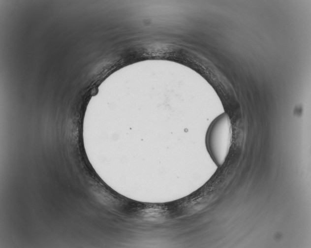 X0000116840505201001151250