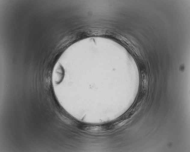 X0000116840507201001151250