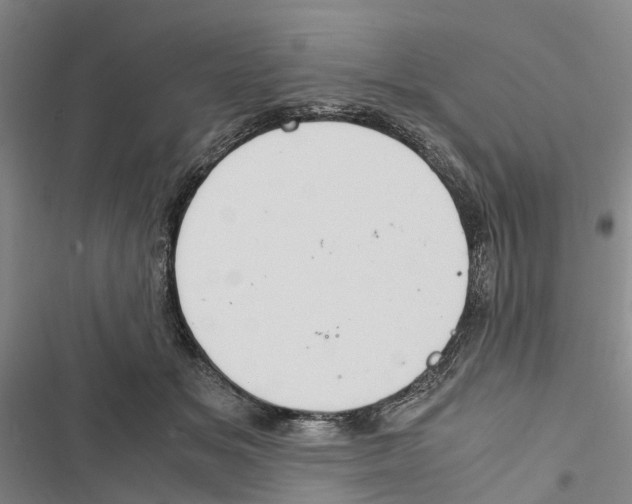 X0000116840509201001151250