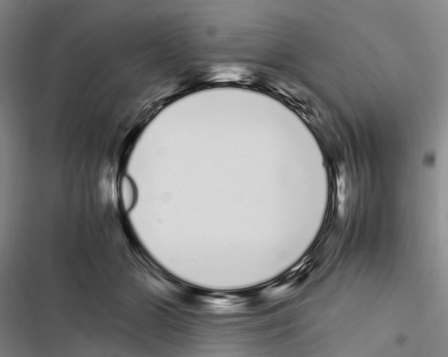 X0000116840510201001151250