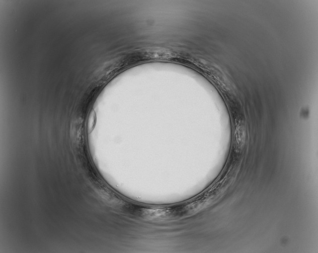 X0000116840511201001151250