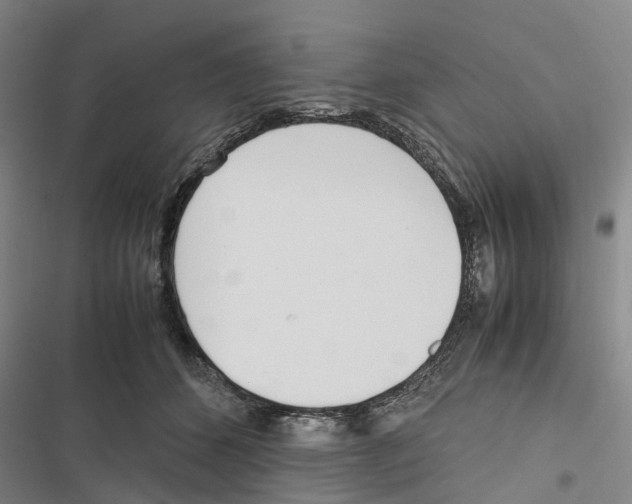 X0000116840512201001151250